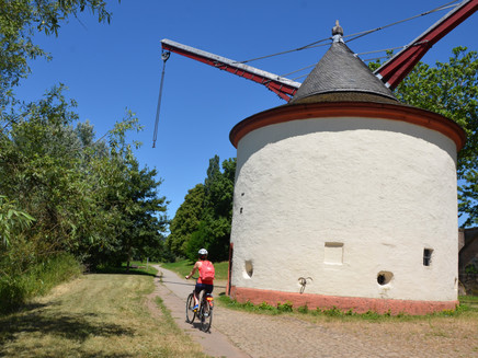 Kranen am Mosel-Radweg bei Trier